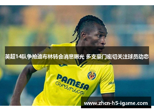 英超14队争抢迪布林转会消息曝光 多支豪门密切关注球员动态